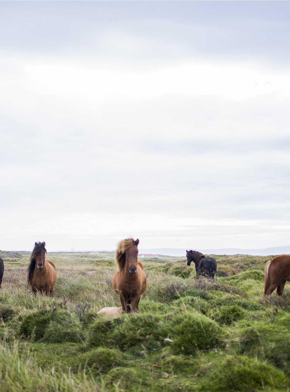 Svět Žen — March — Svět Žen